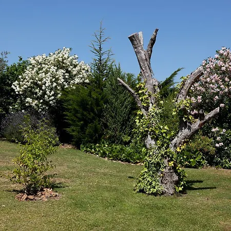 فندق De Sao Francisco 4*