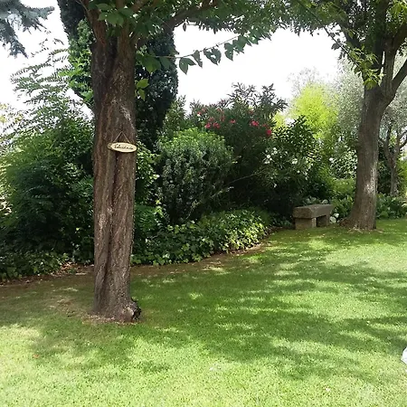 De Sao Francisco