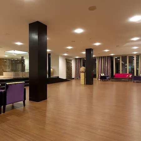 Otel De Sao Francisco 4*