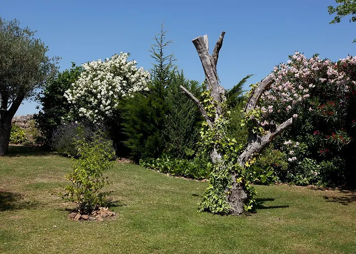 Hotel De Sao Francisco 4*